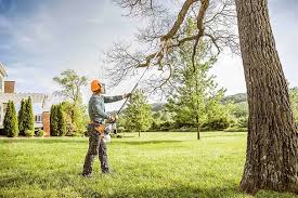 Best Tree Planting Services  in Olympia, WA